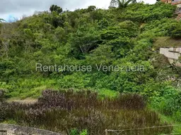 View 15
