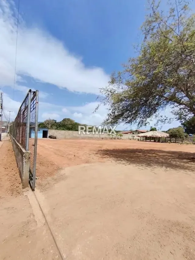 TERRENO EN PALO SANO LA ASUNCION - 6