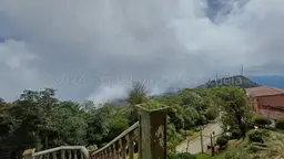 View 7
