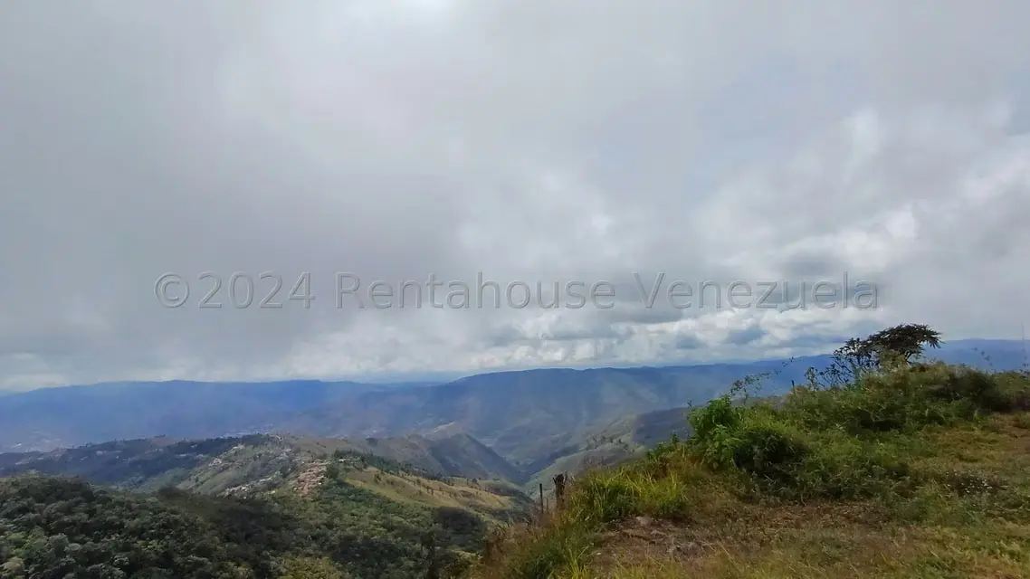 Negocios y Empresas (Tecnologia) en Venta en El Junquito, Distrito Metropolitano - 10