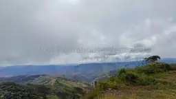 View 10
