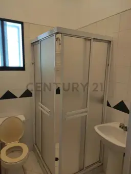 Vista 14