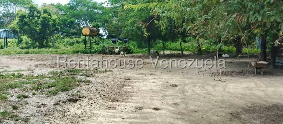 Terreno (Finca) en Venta en Turen, Portuguesa - 3