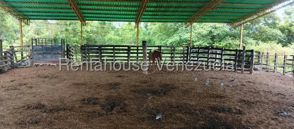 Terreno (Finca) en Venta en Turen, Portuguesa - 6