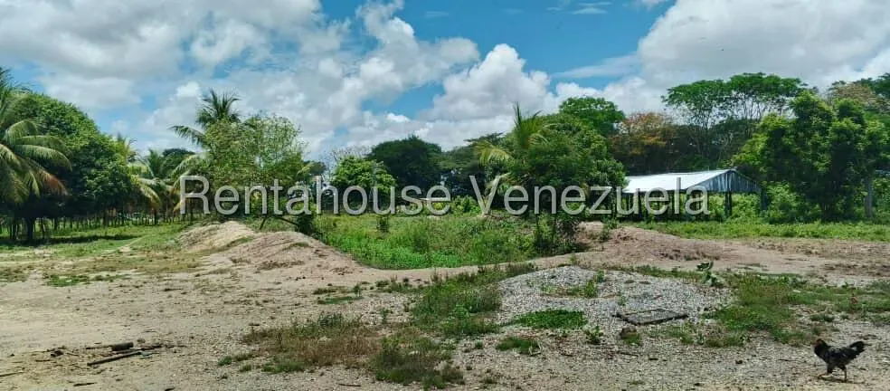 Terreno (Finca) en Venta en Turen, Portuguesa - 7