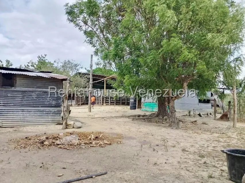 Terreno (Finca) en Venta en Turen, Portuguesa - 9