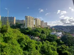 Vista 11