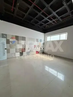 Vista 4