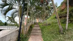 View 43
