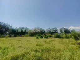 View 7