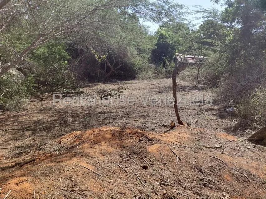 Terreno (Residencial) en Venta en Guacuco, Nueva Esparta - 7