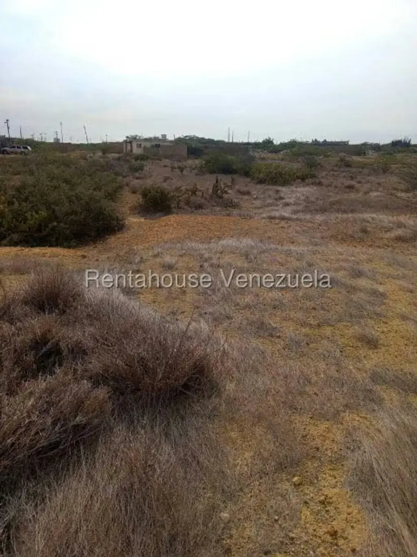 Terreno (Residencial) en Venta en El Cardon, Falcon