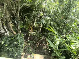 Vista 20