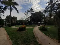 View 37