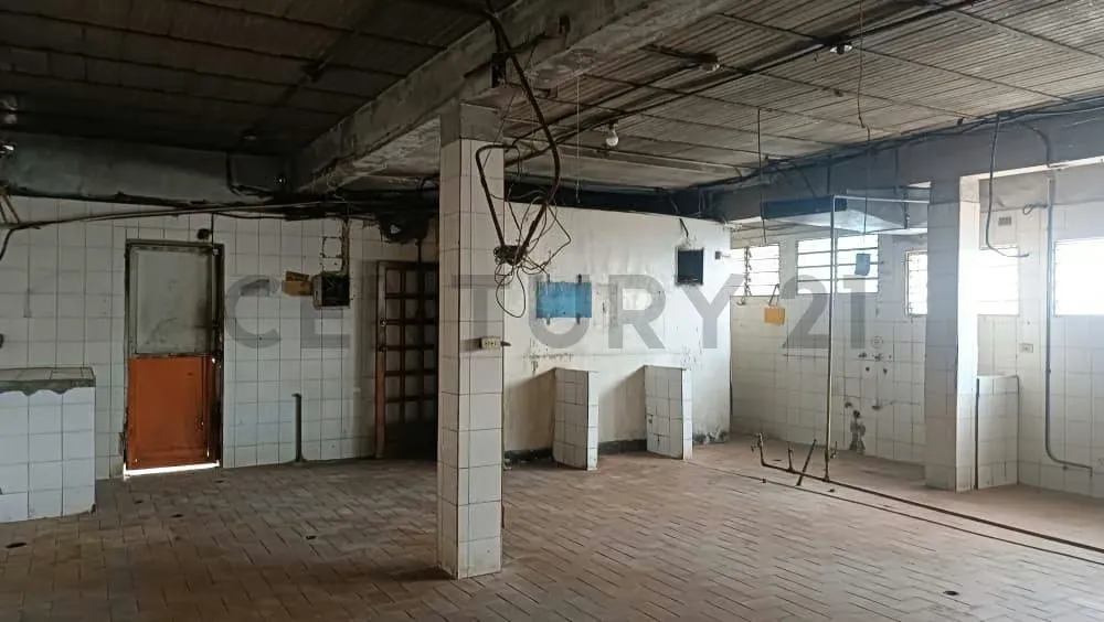 Local comercial en alquiler en la avenida 4 de Mayo. - 21