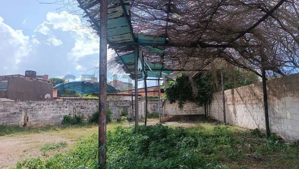Local comercial en alquiler en la avenida 4 de Mayo. - 30