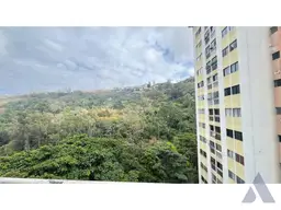 Vista 14