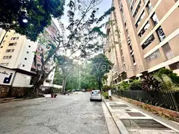 Vista 37