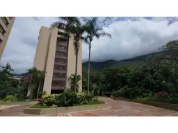 View 1