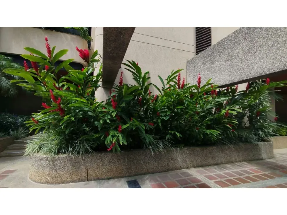 SE ALQUILA Apartamento 4h-4b-2p. parte Alta Los Palos Grandes - 27