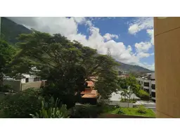 View 40