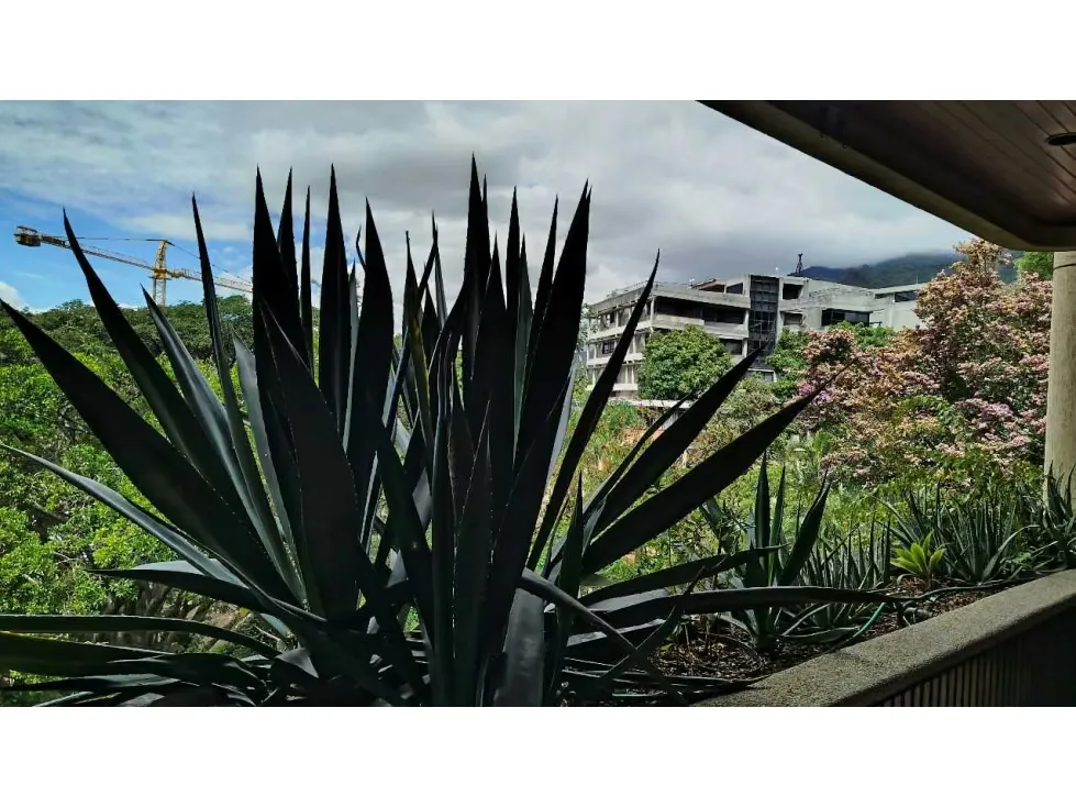 SE ALQUILA Apartamento 4h-4b-2p. parte Alta Los Palos Grandes - 8