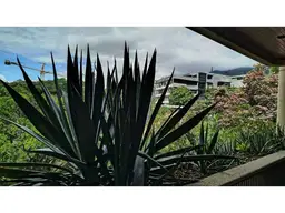 View 8