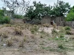 View 4