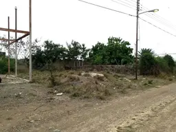 View 5