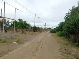 View 6