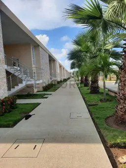 Vista 5