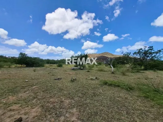 TERRENO VIA PLAYA PEDRO GONZALEZ, CERCA DE LA LAGUNA, ISLA DE MARGARITA, NUEVA ESPARTA - 13