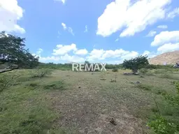 Vista 14