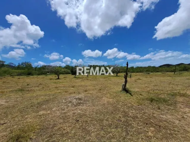 TERRENO VIA PLAYA PEDRO GONZALEZ, CERCA DE LA LAGUNA, ISLA DE MARGARITA, NUEVA ESPARTA - 16