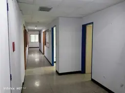Vista 16