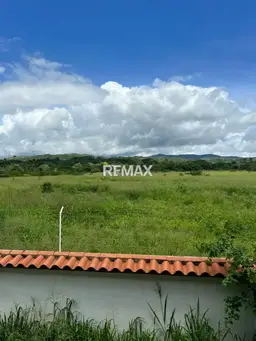 View 5