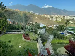 Vista 44