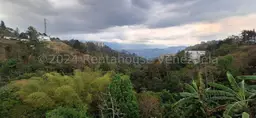 View 28