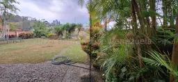 View 29