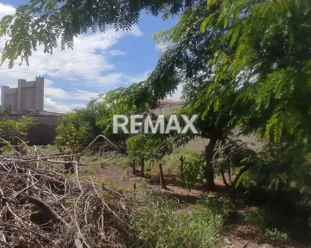TERRENO DE OPORTUNIDAD UNICA UBICADO EN PLAYA EL ANGEL, NUEVA ESPARTA, ISLA DE MARGARITA - 12