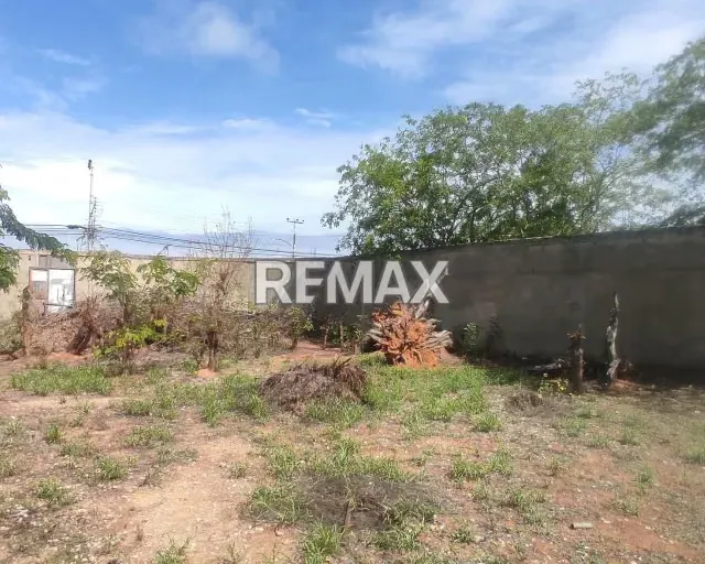 TERRENO DE OPORTUNIDAD UNICA UBICADO EN PLAYA EL ANGEL, NUEVA ESPARTA, ISLA DE MARGARITA - 5