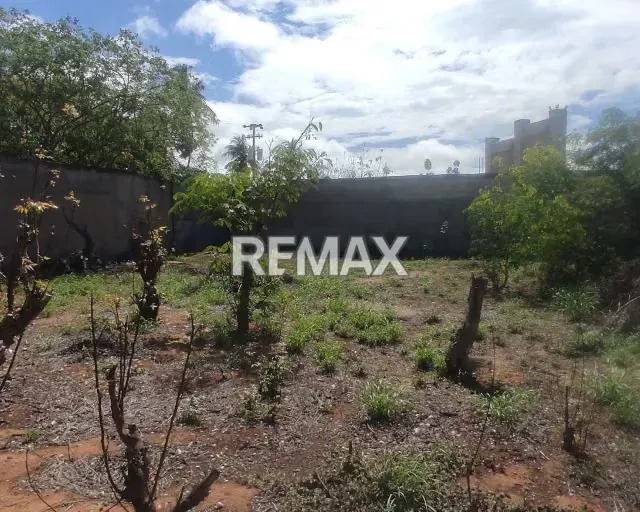 TERRENO DE OPORTUNIDAD UNICA UBICADO EN PLAYA EL ANGEL, NUEVA ESPARTA, ISLA DE MARGARITA - 6