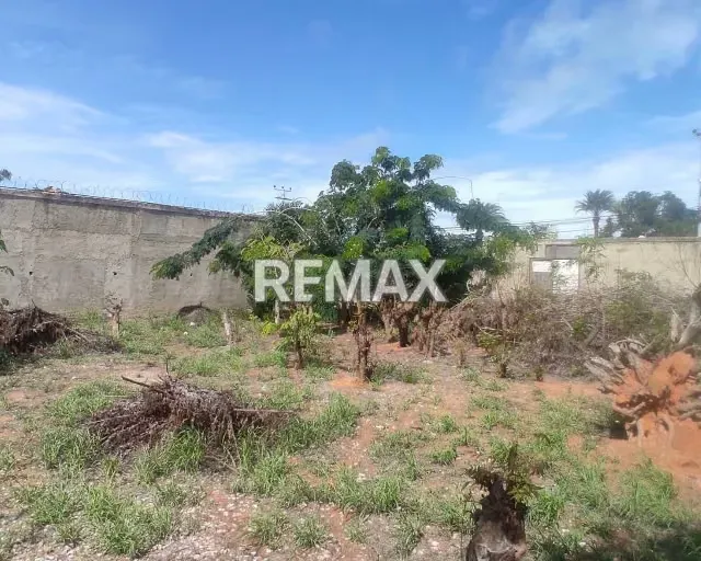 TERRENO DE OPORTUNIDAD UNICA UBICADO EN PLAYA EL ANGEL, NUEVA ESPARTA, ISLA DE MARGARITA - 7