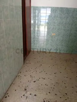 Vista 5