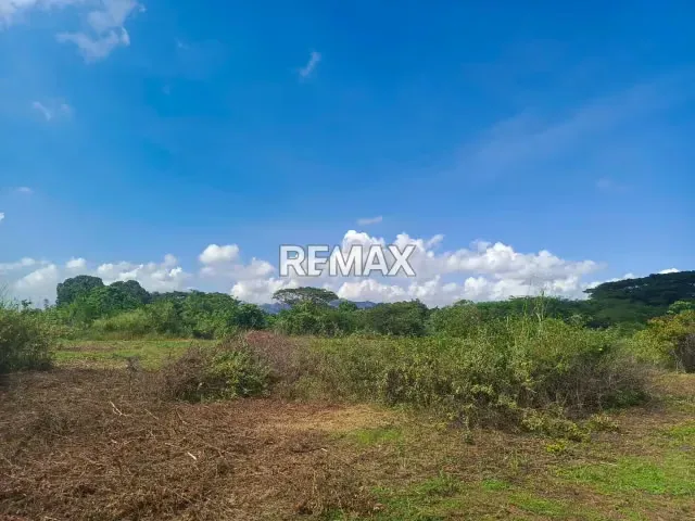 TERRENO EN VENTA EN EL SECTOR EL POLVERO, SAN DIEGO, EDO. CARABOBO - 5
