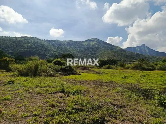 TERRENO EN VENTA EN EL SECTOR EL POLVERO, SAN DIEGO, EDO. CARABOBO - 6