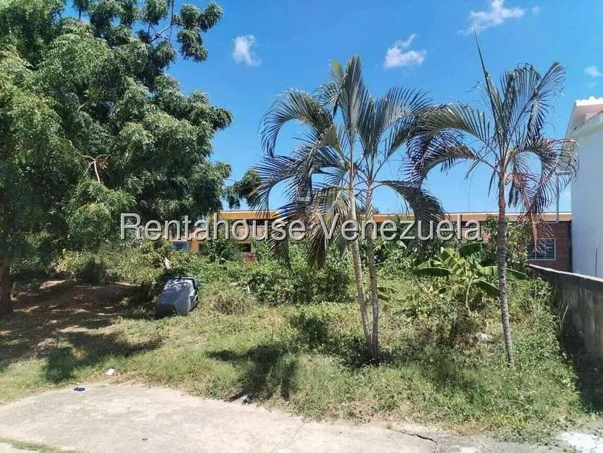 Terreno (Comercial) en Venta en Flamingo, Falcon - 3