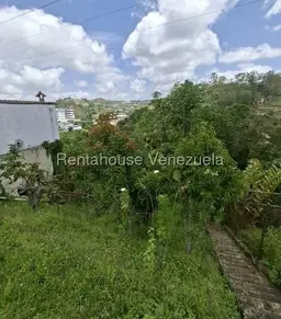 Vista 16