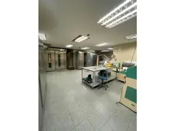 Vista 25