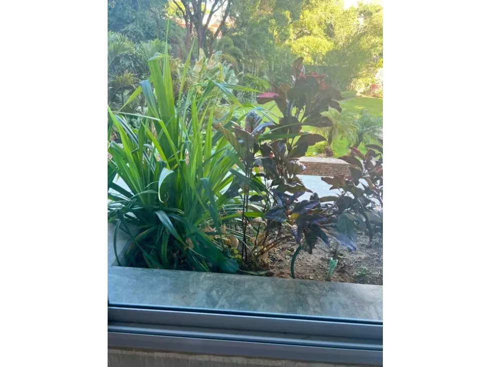 Venta PB duplex 153+116m2 Sebucán 2569 - 3